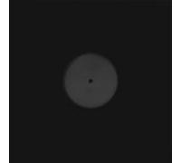 Mccaslin, Donny - Kid