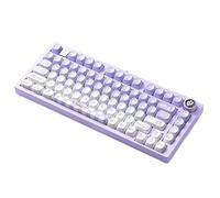 MCHkR 75 Compatible avec Cent de Clavier de Jeu mécanique en Aluminium câblé RVB Hot Berbe Personnalisable Compatible avec et Windows(Purple SOA)