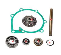 MCHkR Kit de Pompe de Circulation 876794 876544 Compatible avec Les modèles de navires Marins Penta AD41 AQADA40 AQAD41 D41 876794 876544