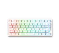 MCHOSE Jet 75 - Clavier Gamer Filaire 75%, Clavier Magnétique à Effet Hall, Précision 0,005 mm, Rapid Trigger, Touches PBT, RGB, Hot Swap, PC/Mac, SOCD & Macros Clés, Magnetic God Switch, Blanc