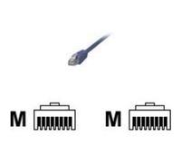 MCL - Cordon de raccordement - RJ-45 (M) pour RJ-45 (M) - 10 m - FTP - CAT 6 - bleu G