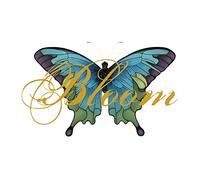 Mclachlan, Sarah - Bloom Remix Album