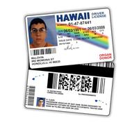 McLovin Permis de Conduire d'identification Superbad/Article de Farce/Faux permis d'identité/Double Face/Excellent complément pour Costumes/qualité Professionnelle