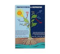 MCQWOMFQAK Photosynthesis And Cellular Respiration Educational Biology Poster Science Classroom Chart On Vintage Metal Sign For School Or Study 8 X 12 in