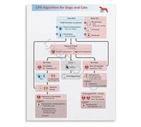 MCQWOMFQAK Veterinary Training Poster CPR Algorithm and Emergency First Aid Chart Canvas for Animal Care Professionals(Framed,16x24inch(40x60cm))