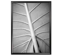 MCS 24 x 36 pouces Galerie Cadre pour affiche en aluminium Noir (44463) 24 x 36 pouces