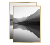 MCS Foundry Lot de 2 cadres muraux en laiton 45,7 x 61 cm