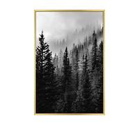 MCS Galerie Cadre mural en laiton 40,6 x 61 cm