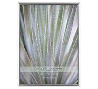 MCS Gallery 9 par 30,5 cm Cadre Aluminium Argenté