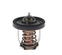 mcYRRweCY Thermostat 50° Outboard Compatible with Suzuki DF 2.5 1.5 4 5 6 | Convient pour Suzuki DF 9.9B DF15A DF20 DF30A ; Remplace 1767091J00 1767091J01 767091J02 17670-91J01 7670-91J02