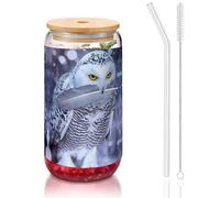 MDATT Arctic Owl Printing - Verres à eau avec couvercles et pailles, jolis verres à eau pour jus, bière, café, thé - 473 ml