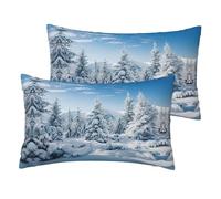 MDATT Lot de 2 taies d'oreiller recouvertes de neige en imitation lin avec fermeture éclair, respirantes et rafraîchissantes, 30,5 x 50,8 cm
