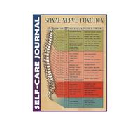MDBJTCYZN Chiropractic Spine Art Metal Sign Human Back Bone Anatomy Poster Wall Decor for Office Clinic and Home 8 X 12 inch
