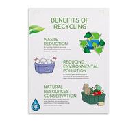 MDBJTCYZN Environmental Action Poster Three Rs for Home | Lower your carbon footprint using this motivation poster(Framed,08x12inch(20x30cm))