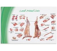 MDBJTCYZN Farm To Table Lamb Cuts Poster Culinary School Style