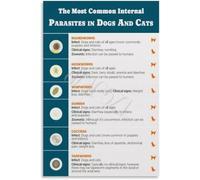 MDBJTCYZN Internal External Parasites Dogs Cats Poster Veterinary Tool