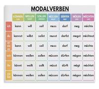 MDBJTCYZN Language Learning Decor Metal Tin Sign with Modal Verbs and Conjugation Grammar Chart Educational Reference for Study Space 8 X 12 inch