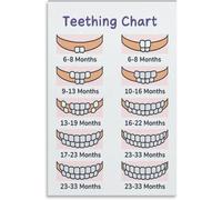 MDBJTCYZN Primary Teeth Eruption Poster Pediatric Care Decor