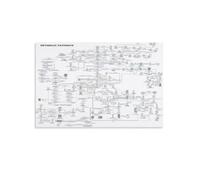 MDBJTCYZN ZGPOSQKZSC Biochemistry Metabolic Pathways Map Educational Science Canvas Painting Wall-Art Print Home Office Decor(Framed,12x18inch(30x45cm))