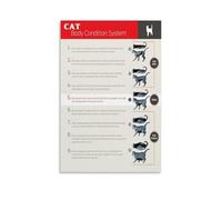 MDBJTCYZN ZGPOSQKZSC Breeder Reference Poster Cat Body Condition Score BCS Chart for Feline Health Assessment Veterinary Wall-Art Clinic Decor(Unframed,12x18inch(30x45cm))