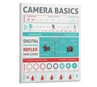 MDBJTCYZN ZGPOSQKZSC Camera Fundamentals Poster Photography Cheat Sheet for Aperture ISO and Shutter Speed(Framed,16x24inch(40x60cm))