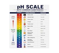 MDBJTCYZN ZGPOSQKZSC Chemistry Educational Poster pH Scale Reference Chart for Acids and Bases Science Teacher Supplies Classroom Homeschool Learning Wall-Art(Unframed,08X12inch(20X30cm))