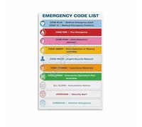 MDBJTCYZN ZGPOSQKZSC Code Chart Color Coded Emergency List Wall-Art Print for Workshop Office Utility Room(Unframed,16x24inch(40x60cm))