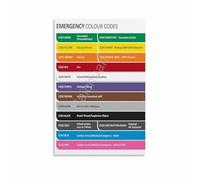 MDBJTCYZN ZGPOSQKZSC Color Coded Alert System Chart Wall Decor for Control Room Office Industrial Style(Framed,16x24inch(40x60cm))