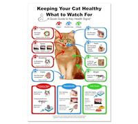 MDBJTCYZN ZGPOSQKZSC Educational Poster Cat Anatomy Chart Learning About Cats Body Animal Science Wall-Art for Childrens Room Classroom(Unframed,16x24inch(40x60cm))