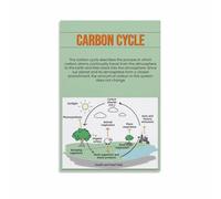 MDBJTCYZN ZGPOSQKZSC Environmental Science Wall-Art - The Carbon Cycle Educational Chart, Biology Classroom Decor & Nature Inspired Poster for Study Room (Unframed,08x12inch(20x30cm))
