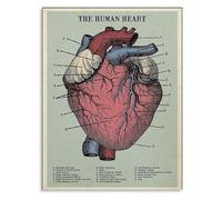 MDBJTCYZN ZGPOSQKZSC Human Heart Anatomy Vintage Poster for Students and Nursing Classroom Wall-Art(Framed,16x24inch(40x60cm))