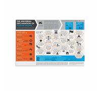 MDBJTCYZN ZGPOSQKZSC Inspirational Human Rights Document Poster The Declaration for Office and Classroom Wall(Unframed,08x12inch(20x30cm))