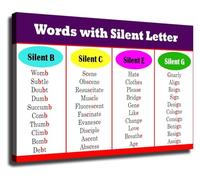 MDBJTCYZN ZGPOSQKZSC Phonics Silent Letters Poster English Spelling Guide Educational Classroom Decor Wall-Art for Teachers Students Homeschool(Framed,12x18inch(30x45cm))