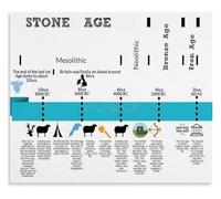MDBJTCYZN ZGPOSQKZSC Stone Age Timeline Educational History Chart Classroom Poster Canvas Wall-Art for Bedroom Study(Unframed,12x18inch(30x45cm))