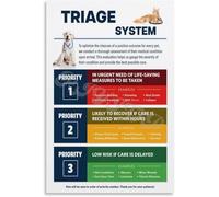 MDBJTCYZN ZGPOSQKZSC Veterinary Pet First Aid Triage Poster Emergency Care Guide for Animal Training Facility Clinic Office and Pet Owner Home(Framed,16x24inch(40x60cm))