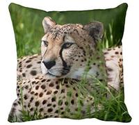 MDEIMAT Cheetah in The Grassland Taie d'oreiller à Fermeture éclair Home Coussins décoratifs carrés 18x18 Pouces (Deux côtés)