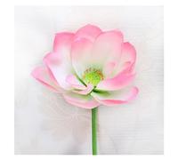 MDSIOKHJ Lotus Artificiel Simulation de Feuille Lotus, Poteau Fleur Artificielle, décoration d'étang Surface d'eau Maison, Plante Verte DIY, décor Salle pour Piscine Aquarium(Pink-01)