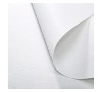 MDSIOKHJ Tapis De Mariage Tapis de Mariage, Chemin d'allée, Romantique, adapté aux Occasions spéciales, antidérapant pour Les Mariages(White,5m,1.5m)
