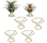 MDYBF Lot de 6 supports géométriques pour plantes aériennes - Support en métal - Ciel Tillandsia