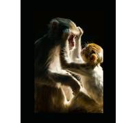Me and My Monkey: A Guide to Primate Companionship
