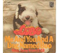 me & you & a dog named boo 45 rpm single