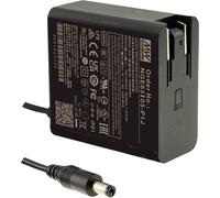 MEAN WELL NGE65I24-P1J Bloc dalimentation à tension fixe 65 W