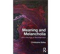 Meaning and Melancholia: Life in the Age of Bewilderment - [Version Originale] Inconnu (Auteur)