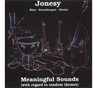 Meaningful Sounds with Regard to Random Themes