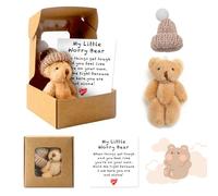 Meanju Pocket Hug Ours Cadeaux,Ours câlin de Poche,Ourson de Soutien Émotionnel avec Message Positif,Cadeaux pour La Famille,Les Amis et Les Amoureux