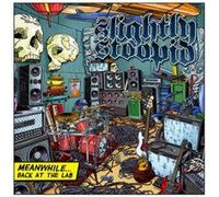 Meanwhile Back at The Lab