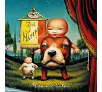 Meanwhile/Vinyle Rouge Translucide Audiophile 180gr/Pochette 2 Volets