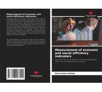 Measurement Of Economic And Social Efficiency Indicators