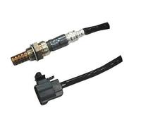 Meat & Doria 81690 Sonde Lambda