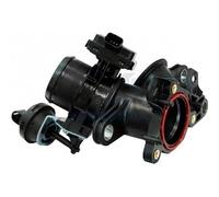 Meat & Doria 89138 Corps papillon injection